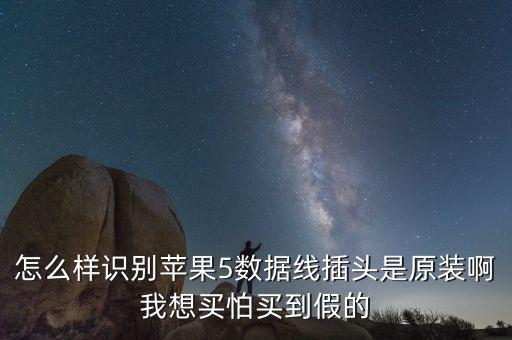 怎么樣識(shí)別蘋果5數(shù)據(jù)線插頭是原裝啊我想買怕買到假的