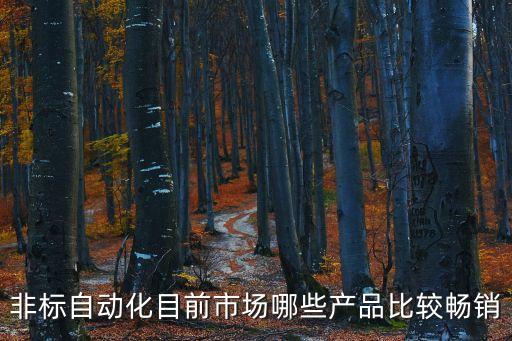 非標自動化目前市場哪些產(chǎn)品比較暢銷