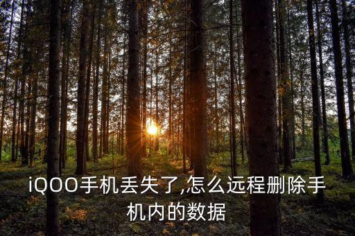 iQOO手機丟失了,怎么遠(yuǎn)程刪除手機內(nèi)的數(shù)據(jù)