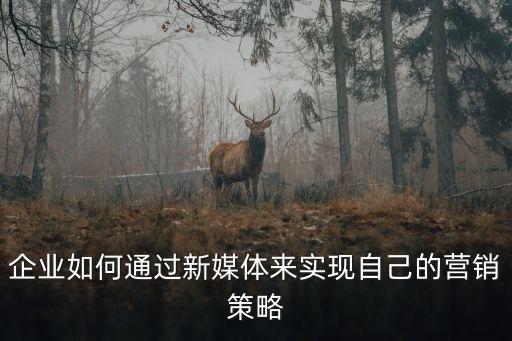 企業(yè)如何通過新媒體來實(shí)現(xiàn)自己的營銷策略