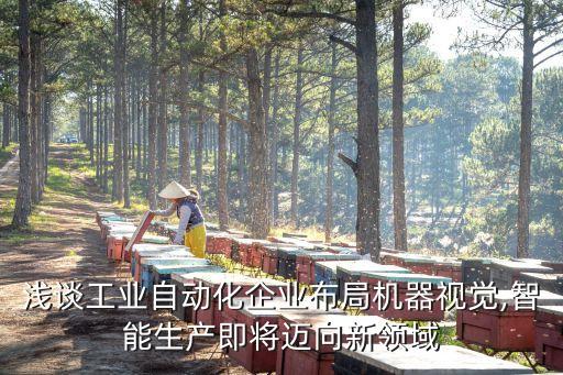 淺談工業(yè)自動(dòng)化企業(yè)布局機(jī)器視覺(jué),智能生產(chǎn)即將邁向新領(lǐng)域