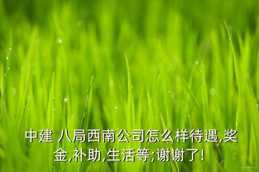 中建八局自動(dòng)化專業(yè)工資,自動(dòng)化專業(yè)去中建好不好