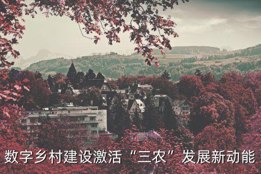數(shù)字鄉(xiāng)村建設(shè)激活“三農(nóng)”發(fā)展新動能