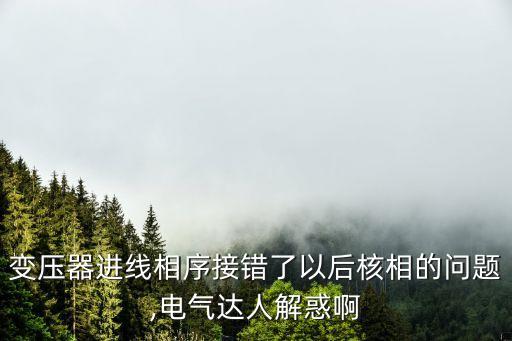 變壓器進(jìn)線相序接錯了以后核相的問題,電氣達(dá)人解惑啊