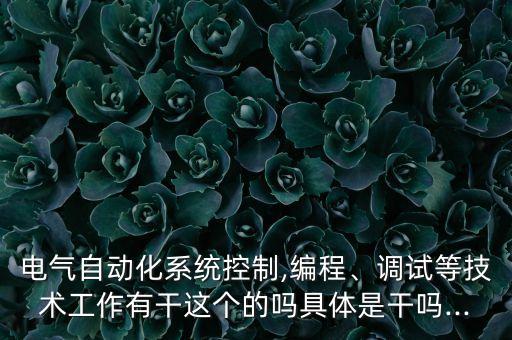 三菱自動化設(shè)備調(diào)試做什么,電氣自動化設(shè)備開發(fā)是做什么的?