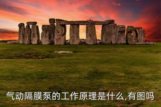 氣動(dòng)隔膜泵的工作原理是什么,有圖嗎