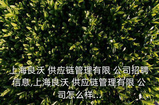 自動化叉車廠家供應(yīng)鏈公司