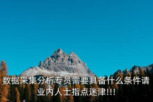 數(shù)據(jù)采集分析專員需要具備什么條件請業(yè)內(nèi)人士指點迷津!!!