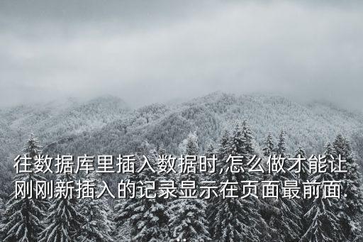 數(shù)據(jù)庫(kù)第一筆,vb數(shù)據(jù)庫(kù)排名出爐!