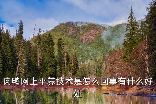 肉鴨網(wǎng)上平養(yǎng)技術(shù)是怎么回事有什么好處