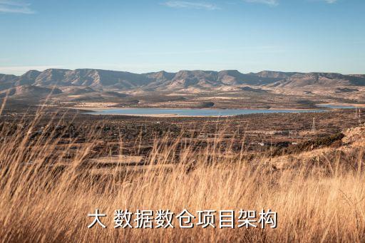 大 數(shù)據數(shù)倉項目架構