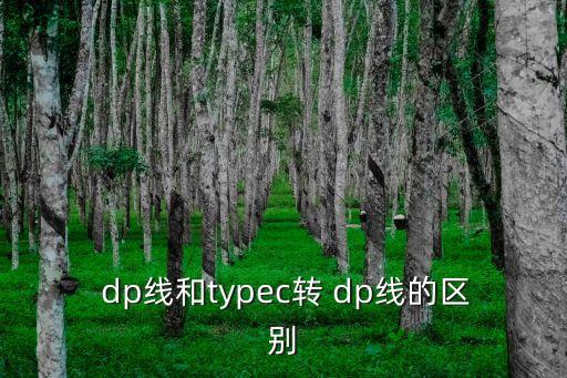  dp線和typec轉(zhuǎn) dp線的區(qū)別