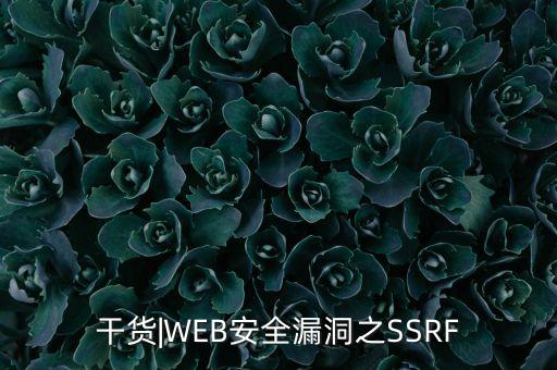 干貨|WEB安全漏洞之SSRF