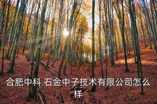合肥中科 石金中子技術(shù)有限公司怎么樣