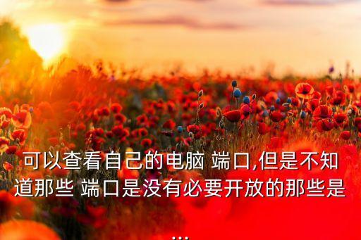 可以查看自己的電腦 端口,但是不知道那些 端口是沒有必要開放的那些是...