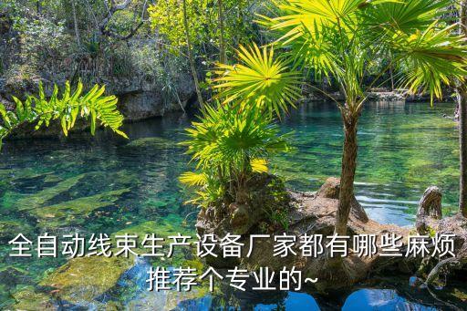 全自動(dòng)線束生產(chǎn)設(shè)備廠家都有哪些麻煩推薦個(gè)專業(yè)的~