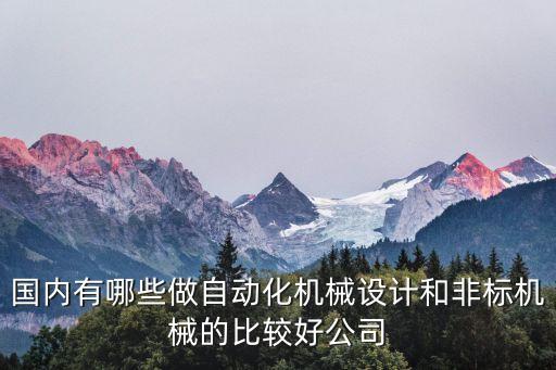 國內(nèi)有哪些做自動化機械設(shè)計和非標(biāo)機械的比較好公司