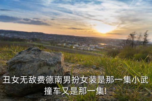 丑女無敵費(fèi)德南男扮女裝是那一集小武撞車又是那一集!