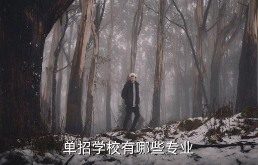 單招學(xué)校有哪些專業(yè)