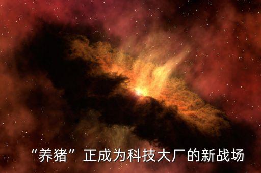 樂平自動化養(yǎng)豬設(shè)備公司,豬場如何自動化養(yǎng)豬?