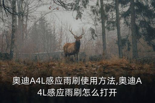 雨刮設(shè)備自動(dòng)化,汽車(chē)自動(dòng)雨刮工作原理智能自動(dòng)化汽車(chē)配置
