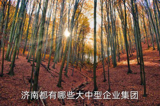 濟(jì)南都有哪些大中型企業(yè)集團(tuán)