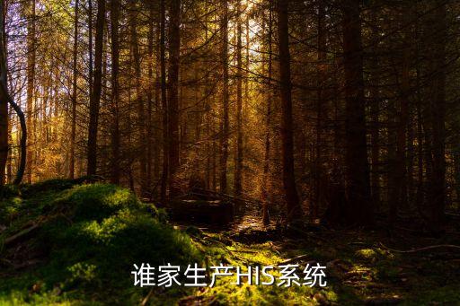 誰(shuí)家生產(chǎn)HIS系統(tǒng)