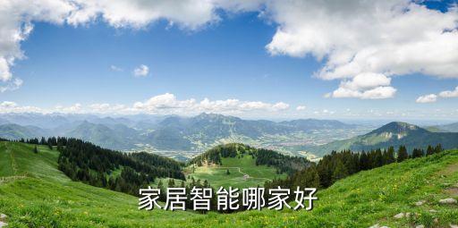家居智能哪家好