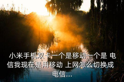 電信 小米 數(shù)據(jù)上網(wǎng)設(shè)置,小米路由器上網(wǎng)設(shè)置選擇什么方式