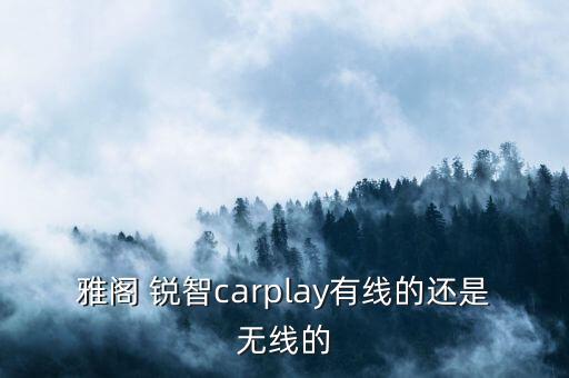 雅閣 銳智carplay有線的還是無(wú)線的