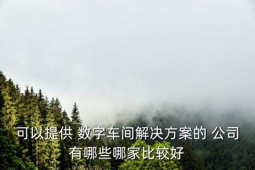 可以提供 數(shù)字車(chē)間解決方案的 公司有哪些哪家比較好