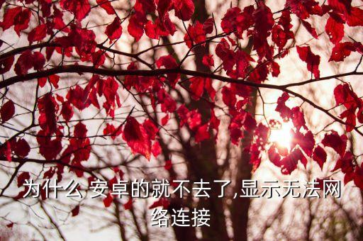 為什么 安卓的就不去了,顯示無法網(wǎng)絡(luò)連接