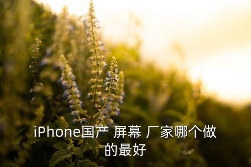 iPhone國產(chǎn) 屏幕 廠家哪個(gè)做的最好