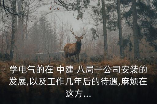 學(xué)電氣的在 中建 八局一公司安裝的發(fā)展,以及工作幾年后的待遇,麻煩在這方...