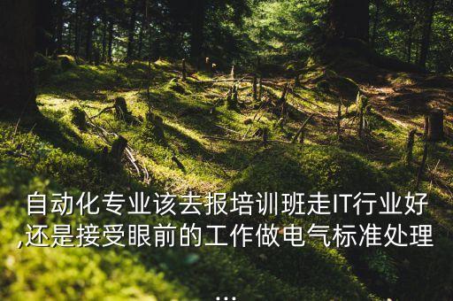 自動化專業(yè)該去報培訓(xùn)班走IT行業(yè)好,還是接受眼前的工作做電氣標(biāo)準(zhǔn)處理...