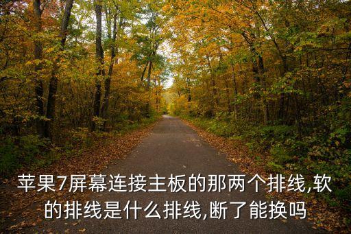 蘋果7屏幕連接主板的那兩個排線,軟的排線是什么排線,斷了能換嗎