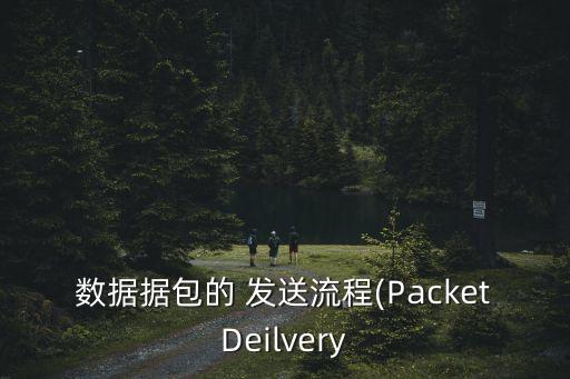 數(shù)據(jù)包游戲怎么發(fā)送,帶數(shù)據(jù)包的游戲怎么安裝
