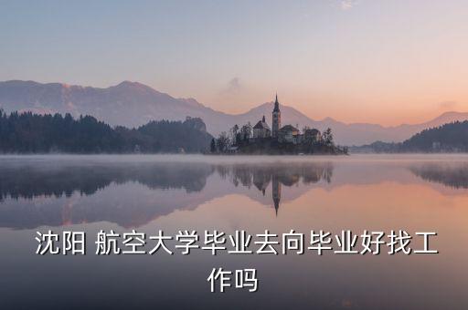  沈陽 航空大學(xué)畢業(yè)去向畢業(yè)好找工作嗎
