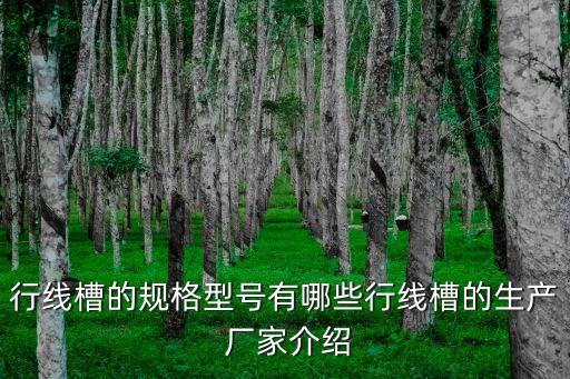 行線槽的規(guī)格型號有哪些行線槽的生產(chǎn) 廠家介紹