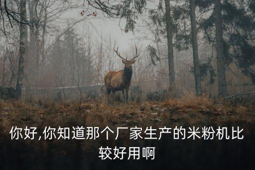 你好,你知道那個廠家生產(chǎn)的米粉機比較好用啊