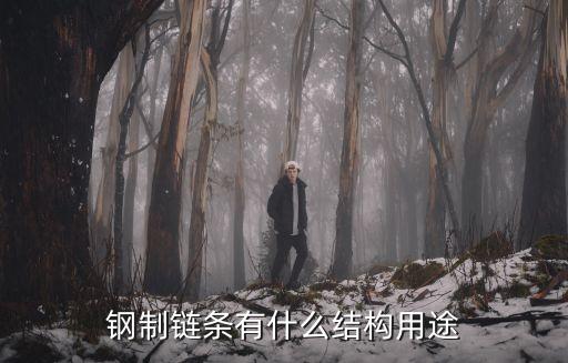 鋼制鏈條有什么結構用途