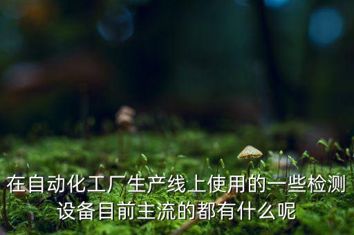 在自動(dòng)化工廠生產(chǎn)線上使用的一些檢測(cè)設(shè)備目前主流的都有什么呢
