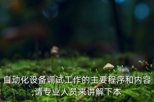 自動化設備調(diào)試工作的主要程序和內(nèi)容,請專業(yè)人員來講解下本