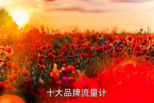 十大品牌流量計