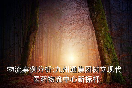物流案例分析:九州通集團(tuán)樹立現(xiàn)代 醫(yī)藥物流中心新標(biāo)桿