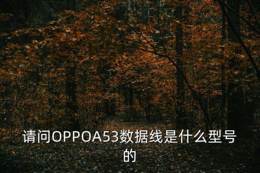 請問OPPOA53數據線是什么型號的