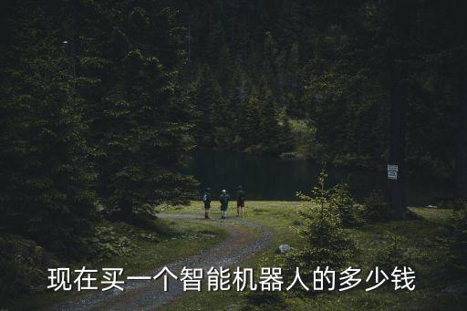 現(xiàn)在買一個智能機器人的多少錢