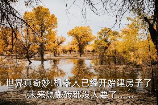 世界真奇妙!機器人已經(jīng)開始建房子了!未來想搬磚都沒人要了……