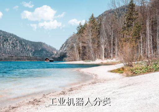 工業(yè)機(jī)器人分類