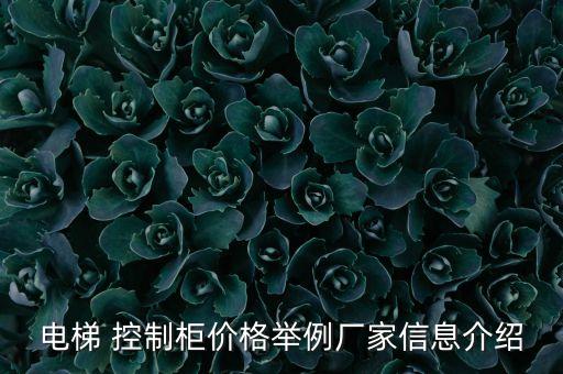 電梯 控制柜價(jià)格舉例廠家信息介紹